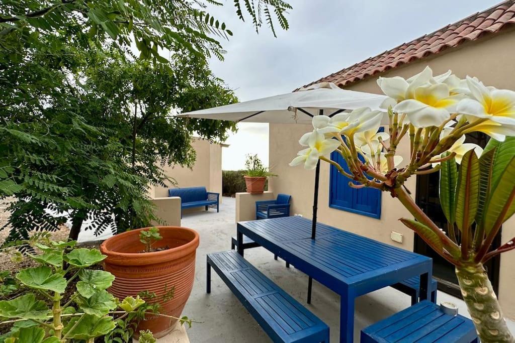 Вілла Peaceful Oasis With Magical Sea Views And A Pool Санта-Крус-де-Тенеріфе Екстер'єр фото