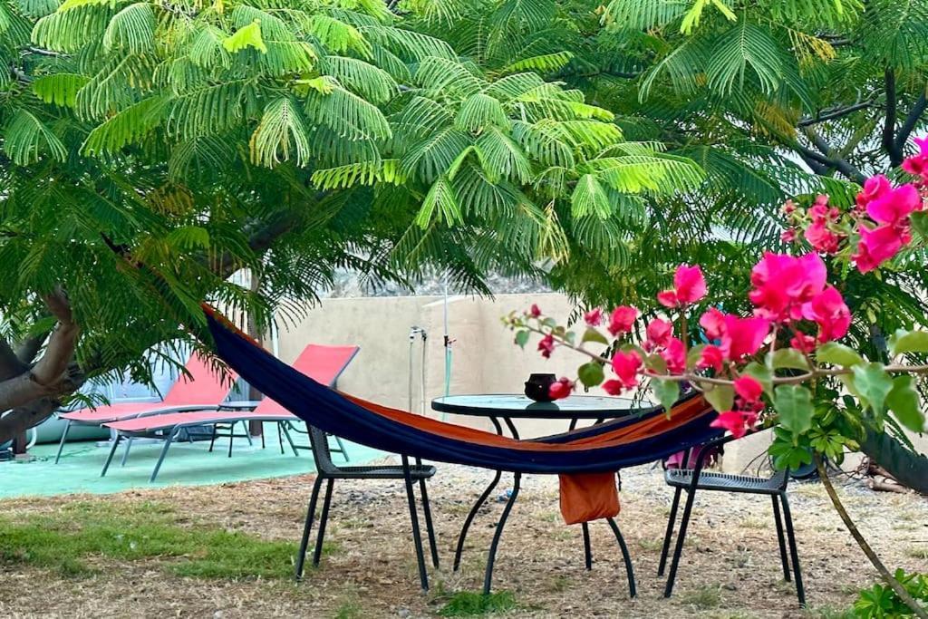 Вілла Peaceful Oasis With Magical Sea Views And A Pool Санта-Крус-де-Тенеріфе Екстер'єр фото